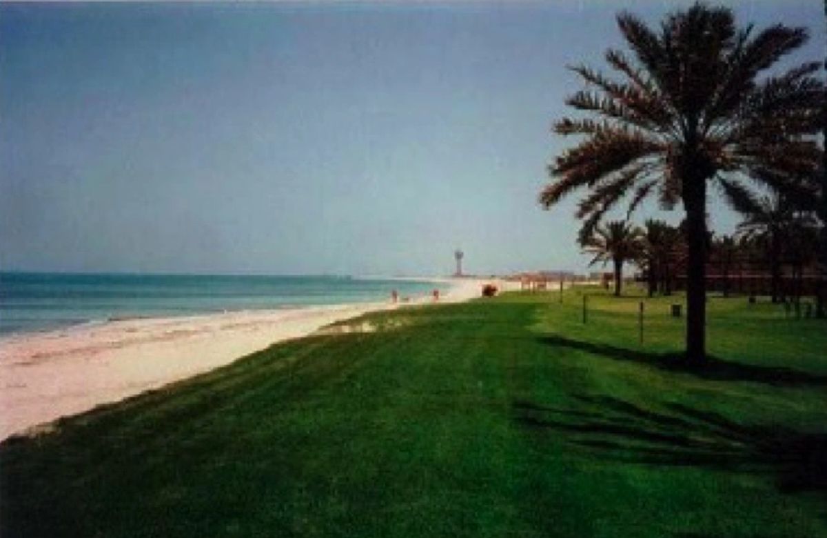 Field photograph of an installed coastal accretion system along a restored shoreline.